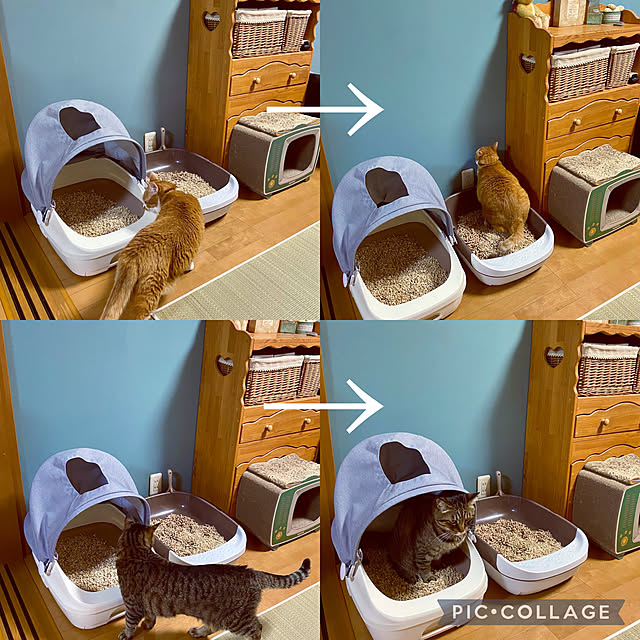 cocomaroさんの実例写真