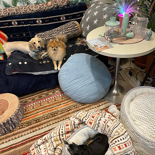 ramuさんの実例写真