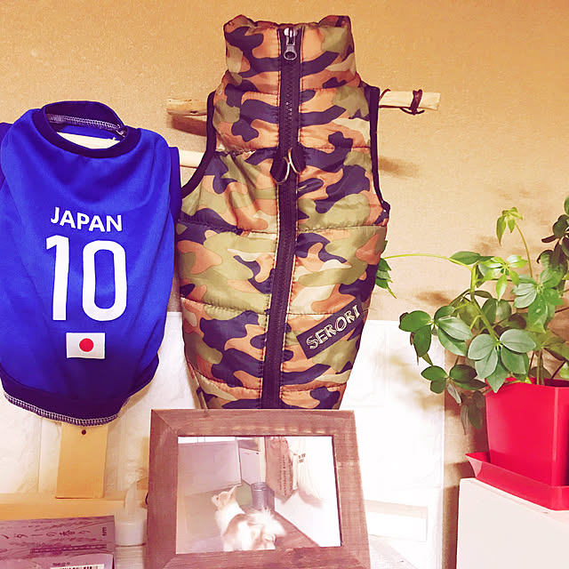 seroriさんの実例写真