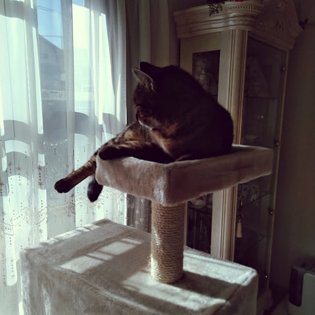 lilyさんの実例写真