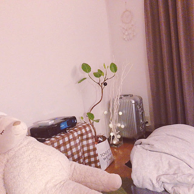 mmmmmonoさんの実例写真