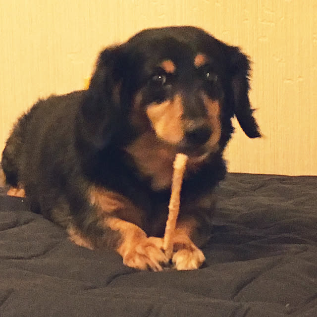 ohanaさんの実例写真