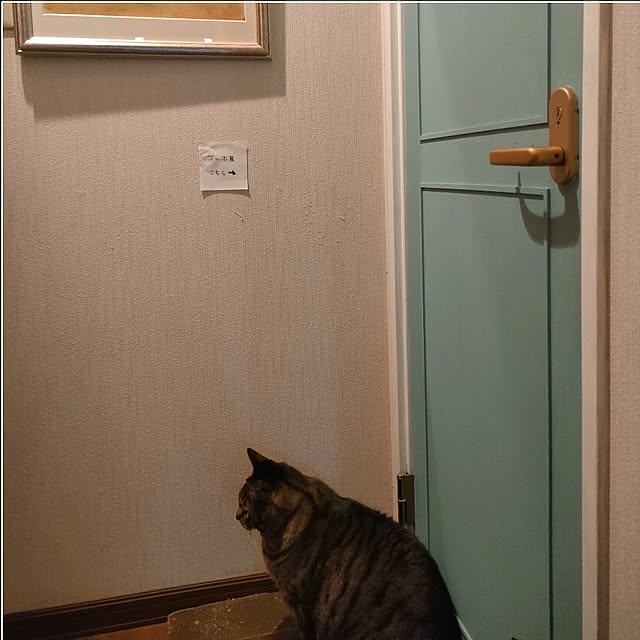 mori_6_12さんの実例写真