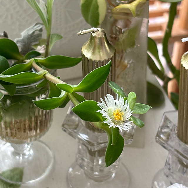 ayomoyuさんの部屋