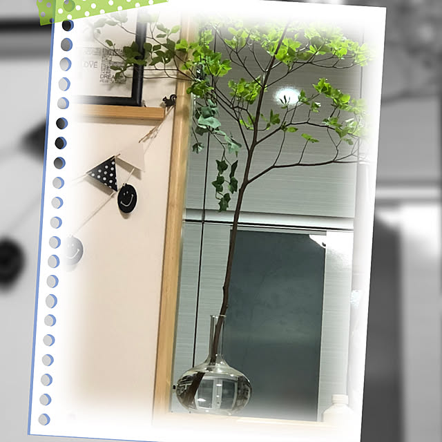 loliontoaliceveさんの実例写真
