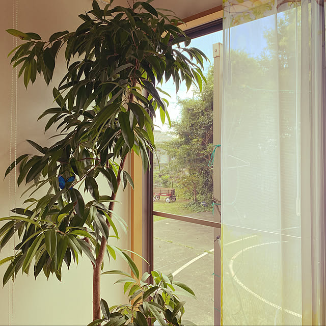 decoratorsさんの実例写真