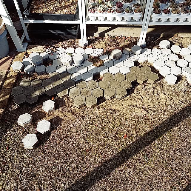 soyokoさんの実例写真