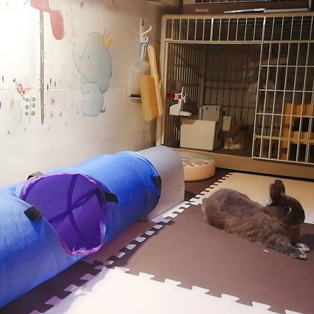 Hollyさんの実例写真