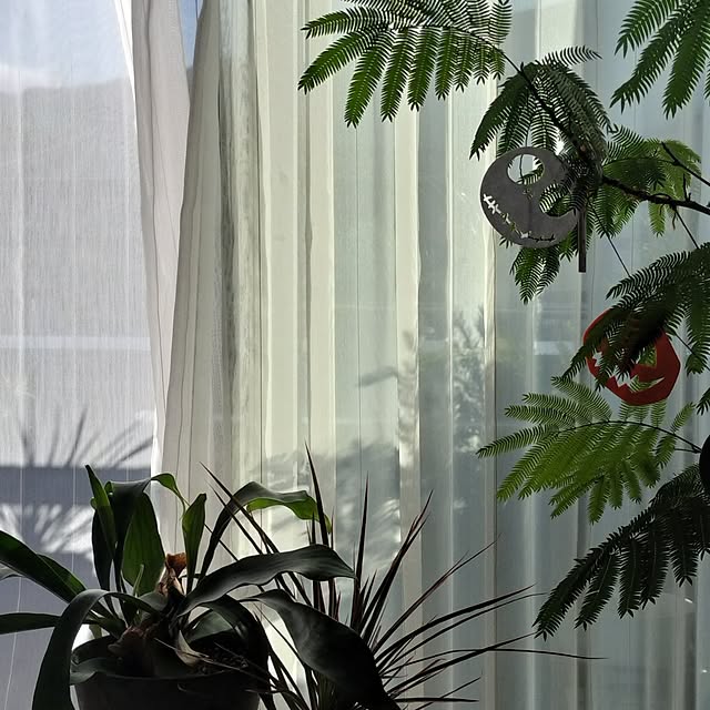 jamjamさんの部屋