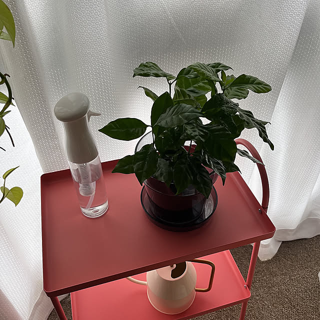 leonさんの部屋