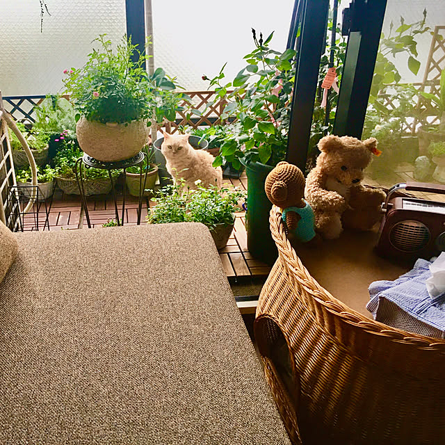 naokoさんの部屋