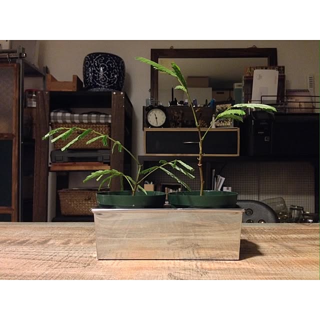 hittonさんの実例写真