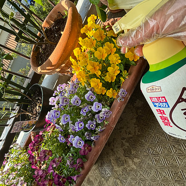 syutmmさんの部屋