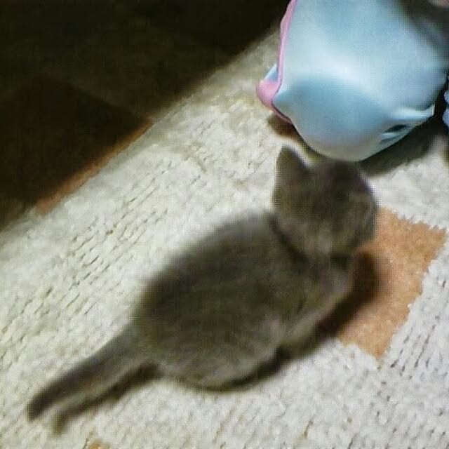 Yukikoさんの実例写真