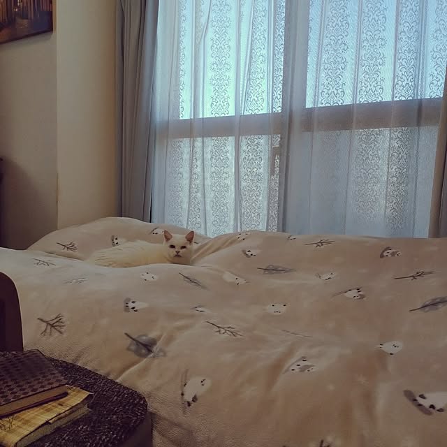 NOAHさんの実例写真