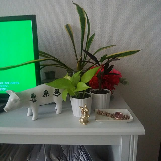 mawiさんの実例写真
