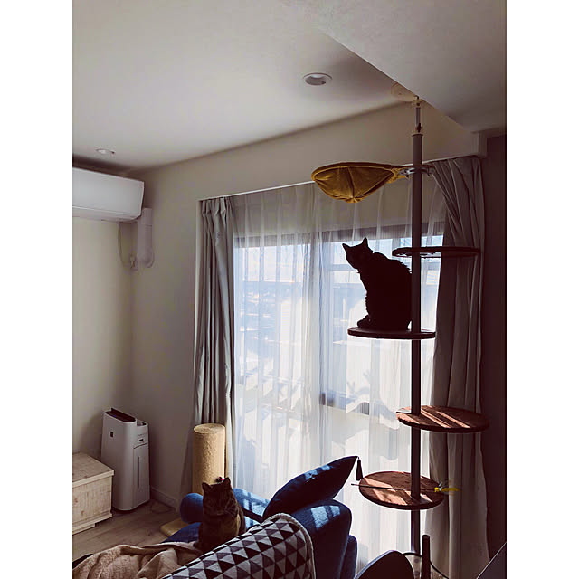 sakkeyさんの実例写真