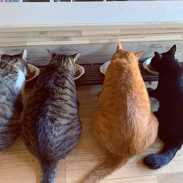 rioさんの実例写真