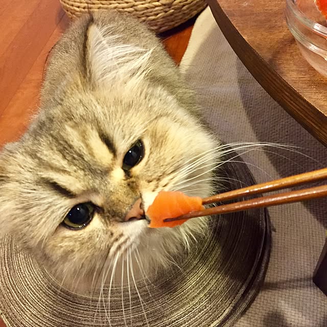 butachanさんの実例写真