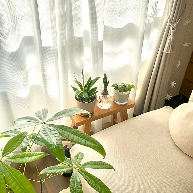 mi_h02さんの部屋