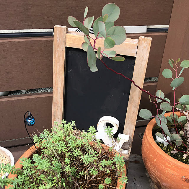 yukkoさんの部屋