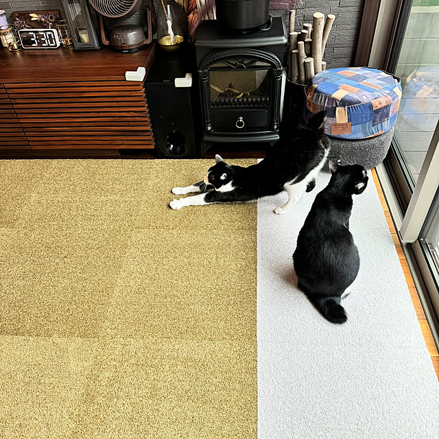 porinさんの部屋