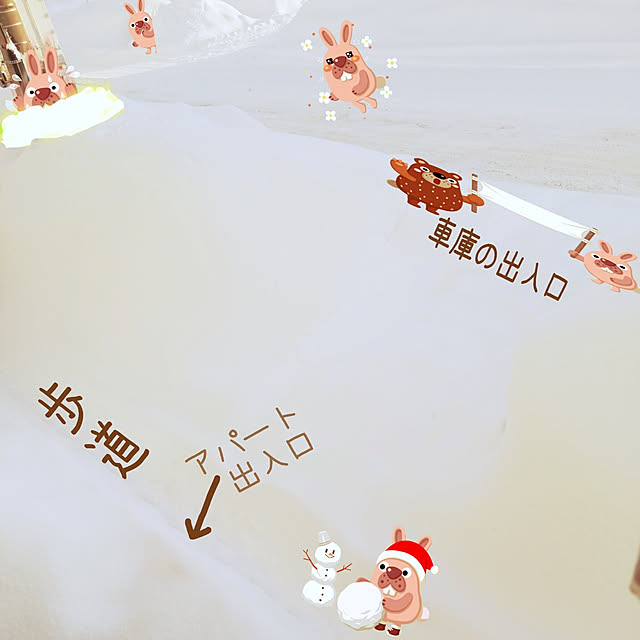 chinon7211さんの実例写真