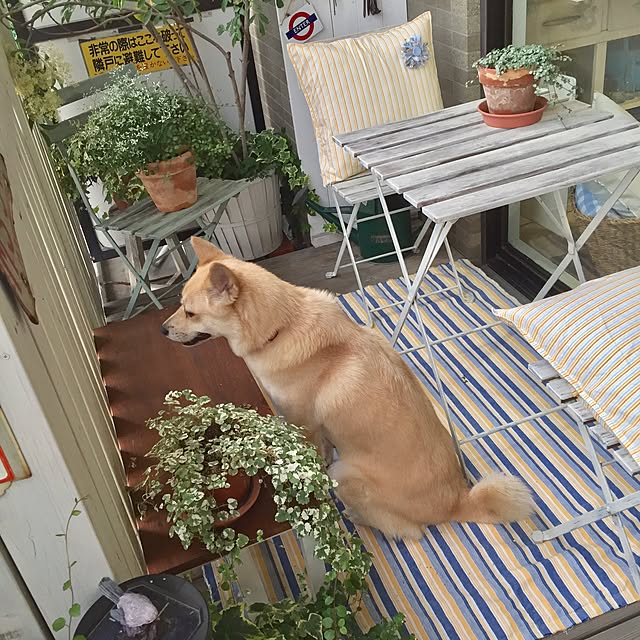 leonaさんの実例写真