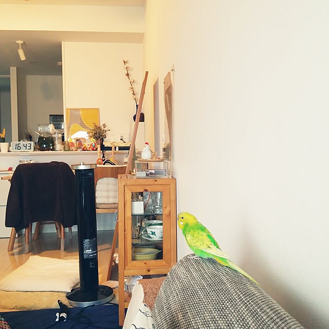 m-kinocoさんの実例写真