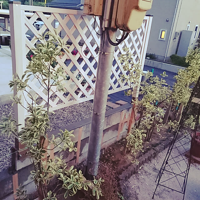 shorinさんの実例写真