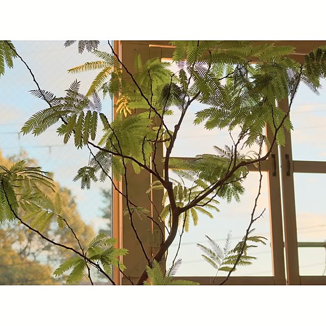 maminさんの部屋