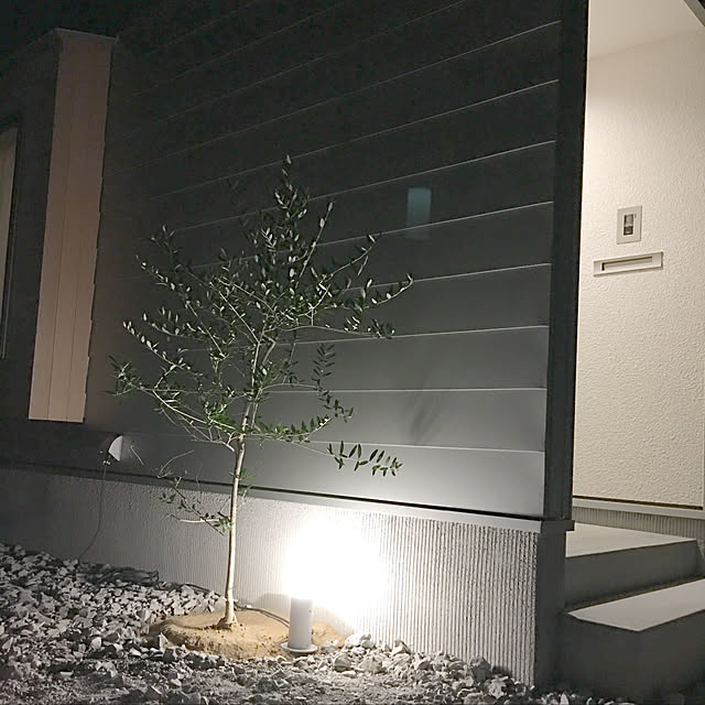 coco.262611201さんの実例写真