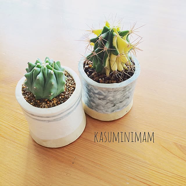 kasuminimamさんの実例写真