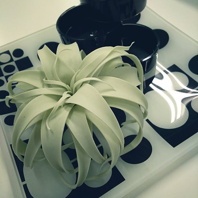 ...t_m_eee...さんの実例写真