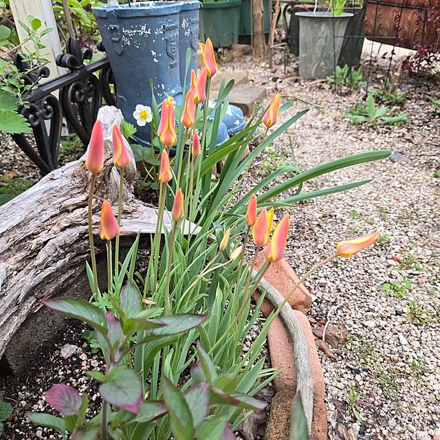 min_nimさんの部屋