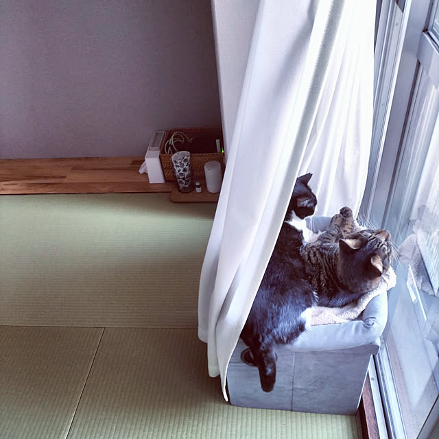 hihaさんの実例写真
