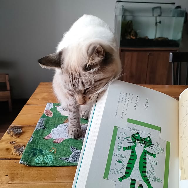 Atelier_tamakiさんの部屋