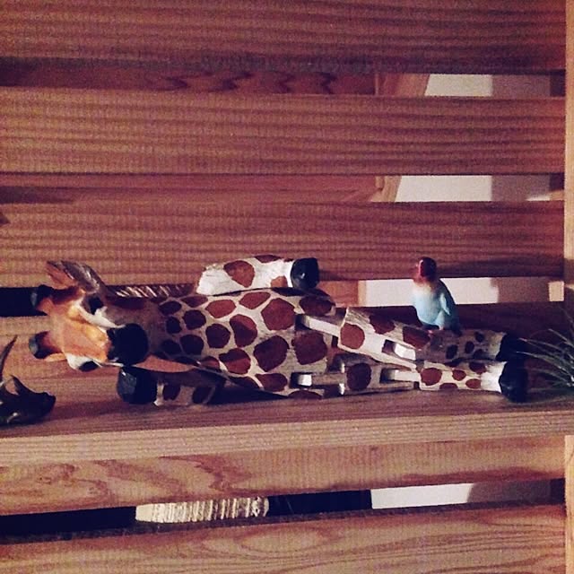 tanaさんの実例写真