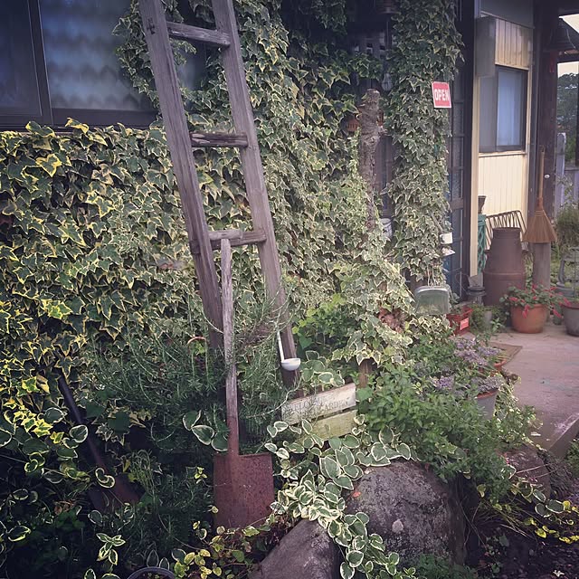 TOROさんの実例写真