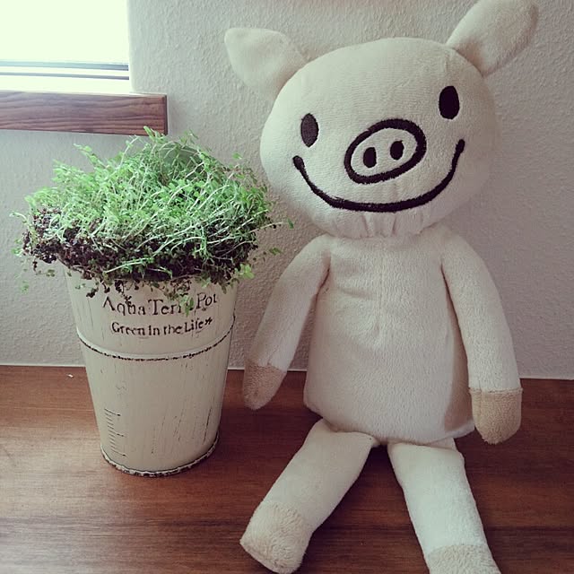momoさんの実例写真