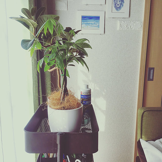 sunさんの実例写真