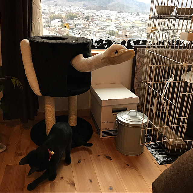 momokumiさんの実例写真