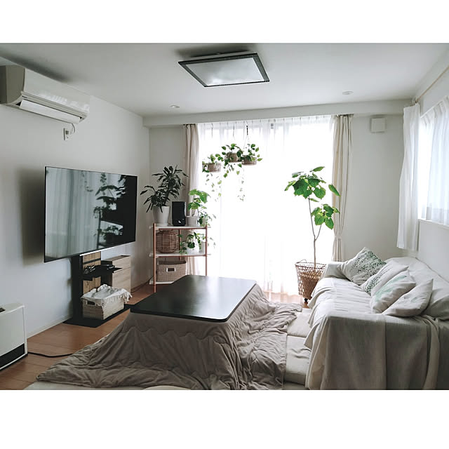 kodaminさんの実例写真
