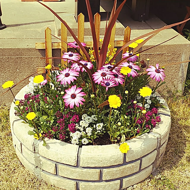 a-min.mamaさんの実例写真