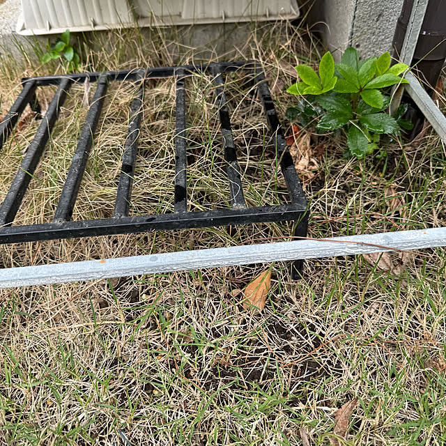 mamizaさんの部屋