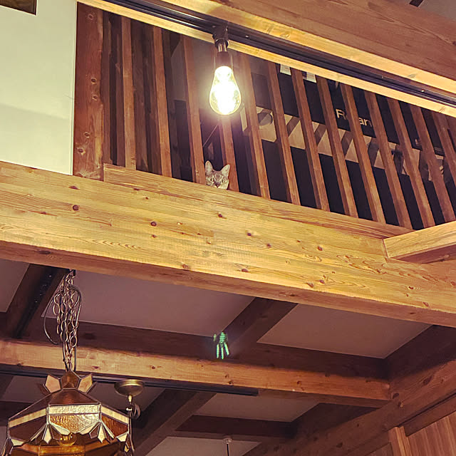 PU930さんの実例写真