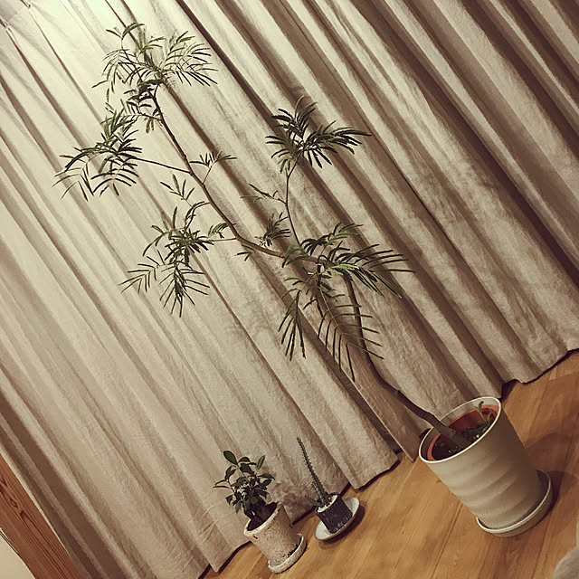 Y.Uniさんの実例写真