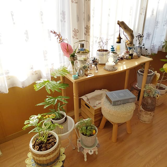 PiyoDonaRoseさんの実例写真