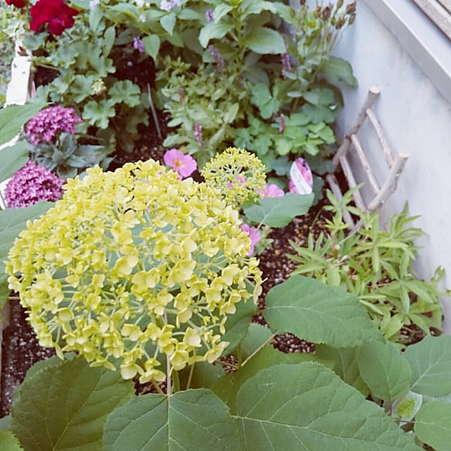aikkoさんの実例写真