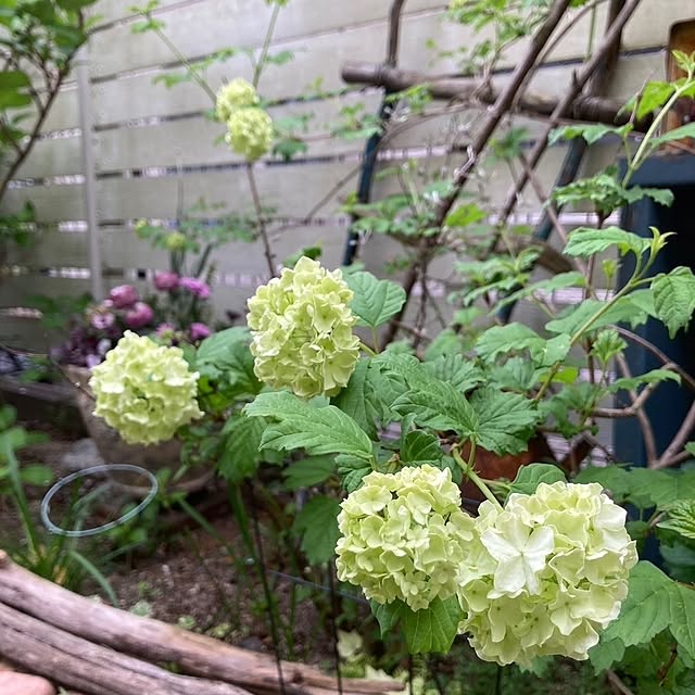 min_nimさんの実例写真
